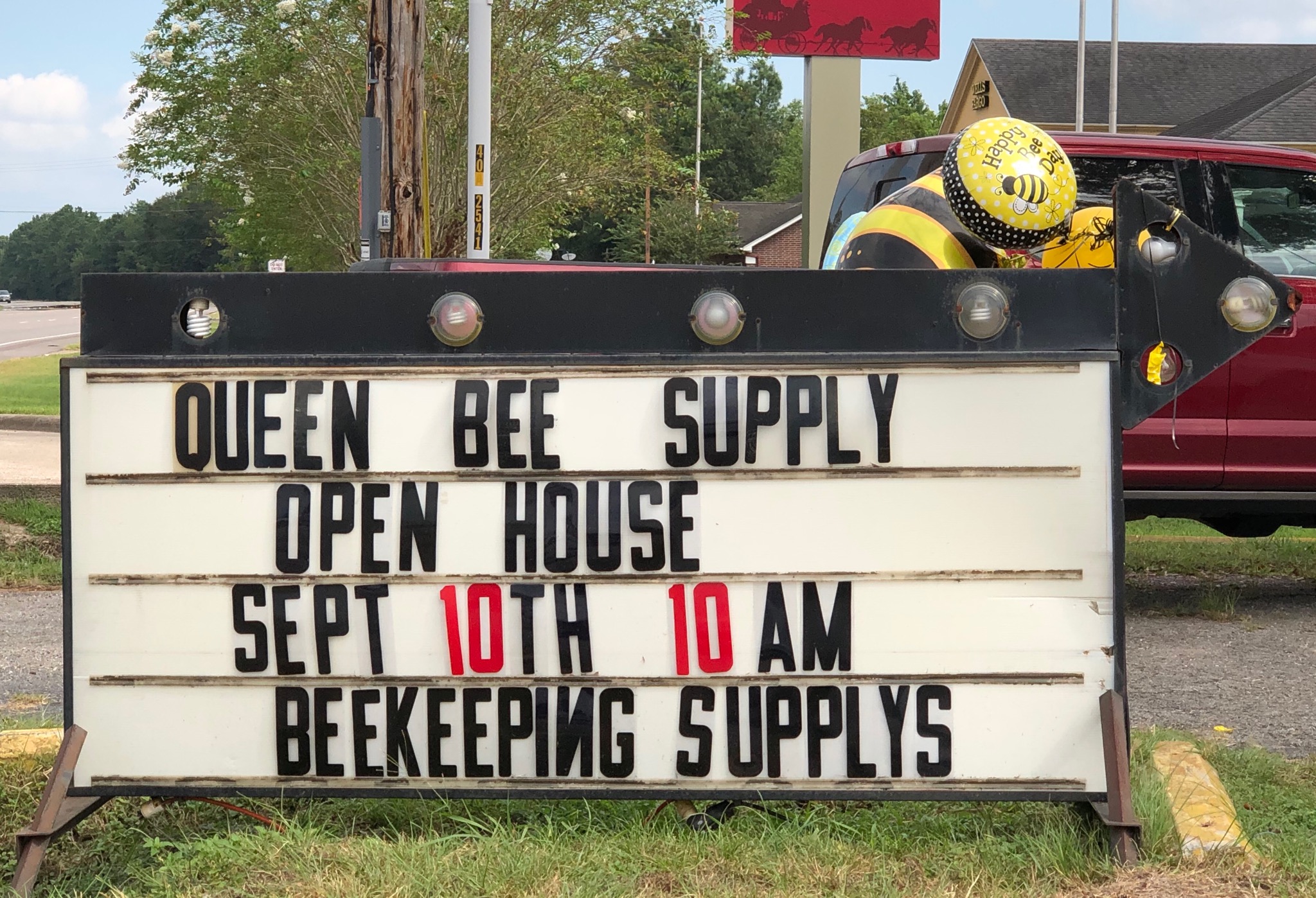 Queen Bee Supply Orange Leader Orange Leader