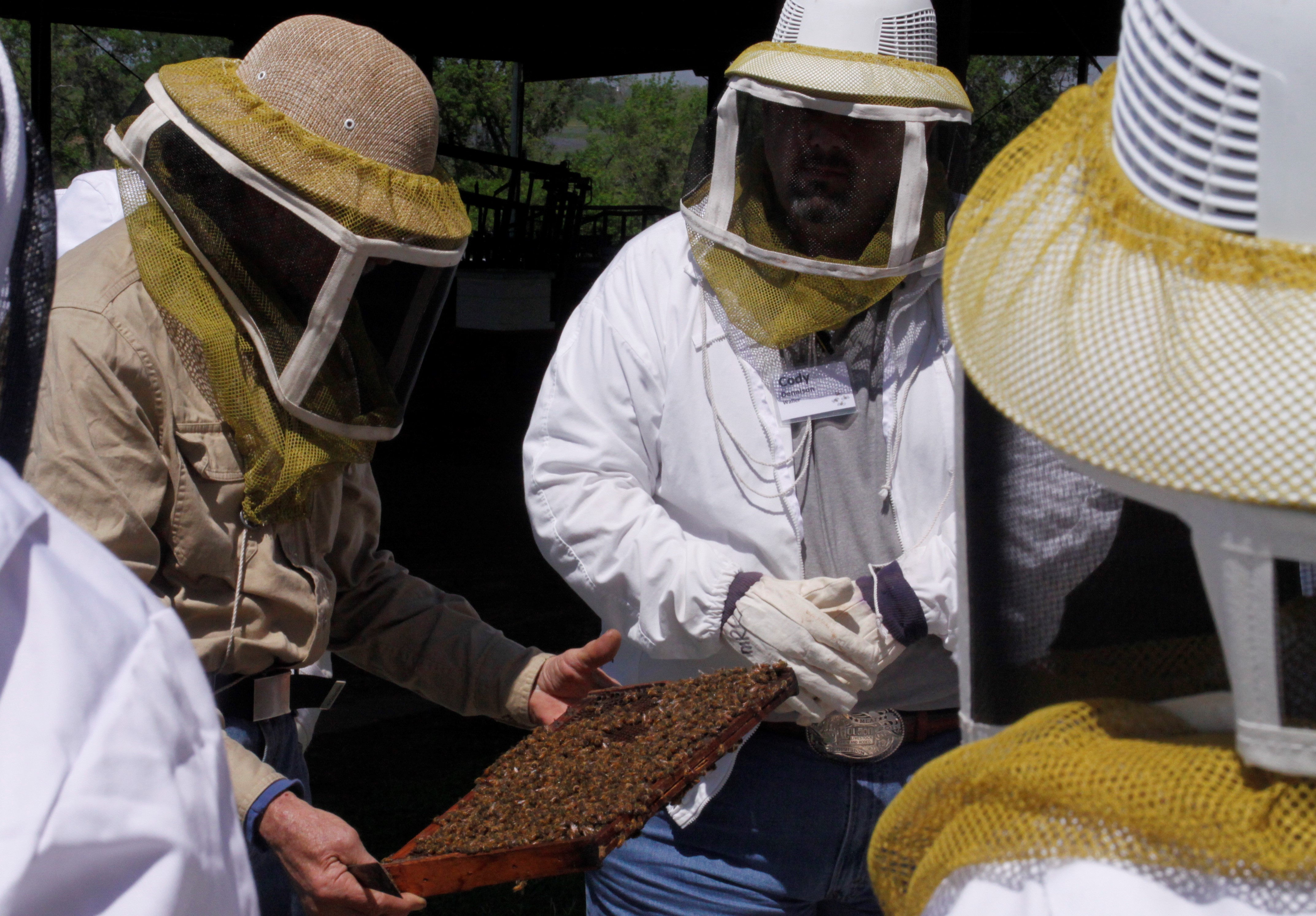 Life as an Amateur Beekeeper Orange Leader Orange Leader