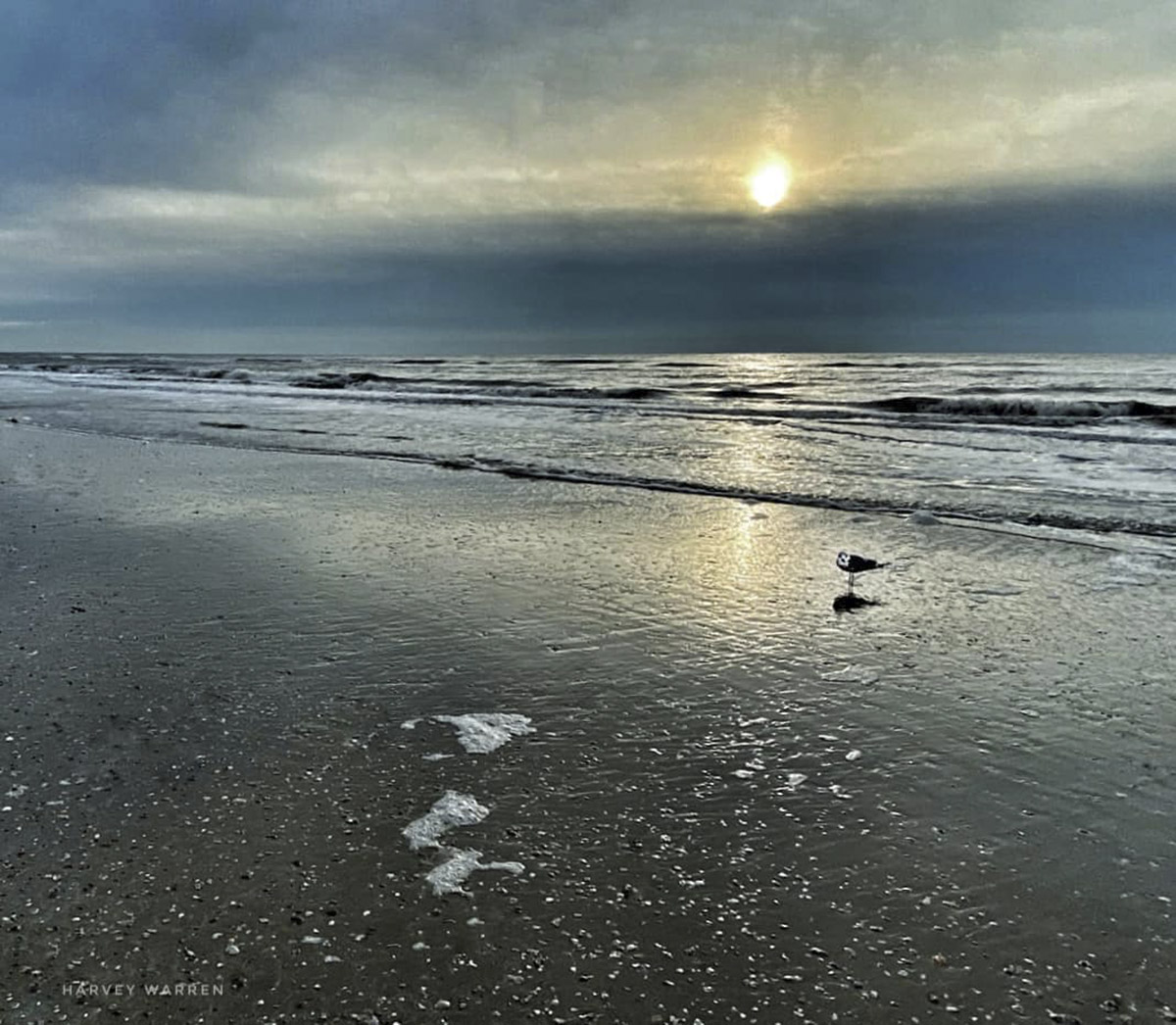 Bolivar Peninsula beaches are back open Orange Leader Orange Leader