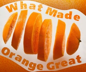 What Made Orange Great